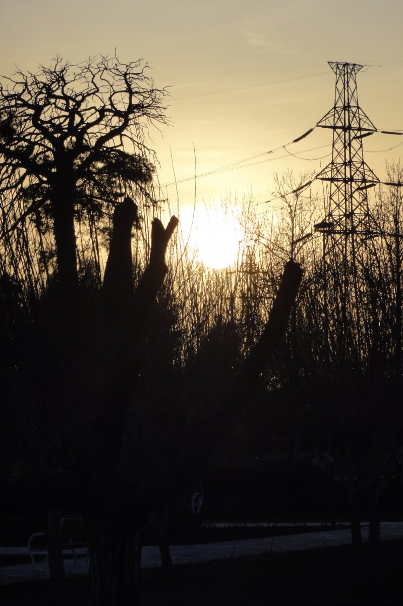 Sunset (8)